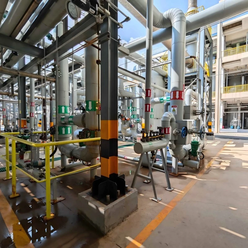 soda ash manufacturing plant soda ash manufacturing plant